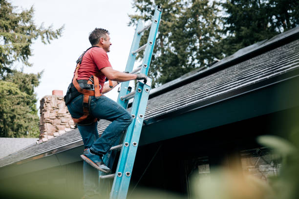 Best Skylight Installation and Repair  in Wadsworth, OH